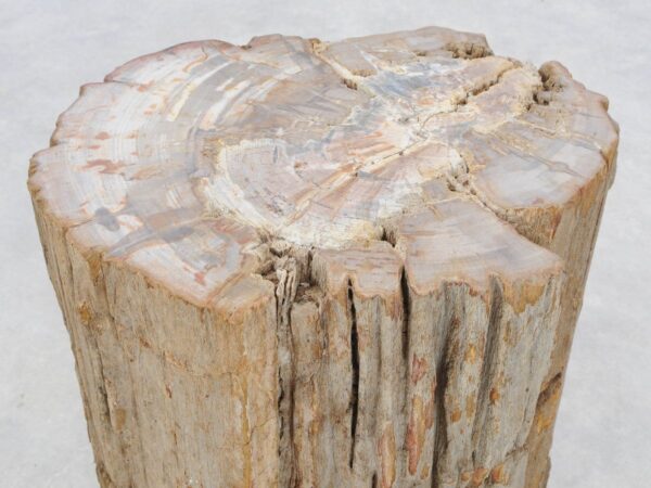 Beistelltisch versteinertes Holz 46025