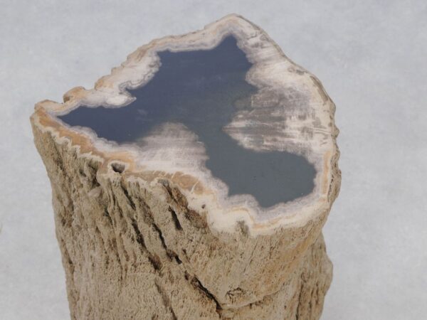 Beistelltisch versteinertes Holz 46026