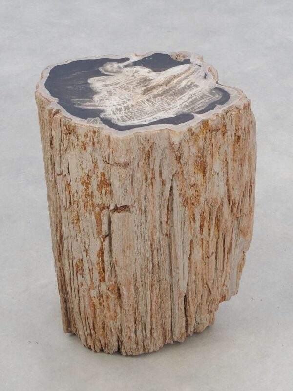 Beistelltisch versteinertes Holz 46029