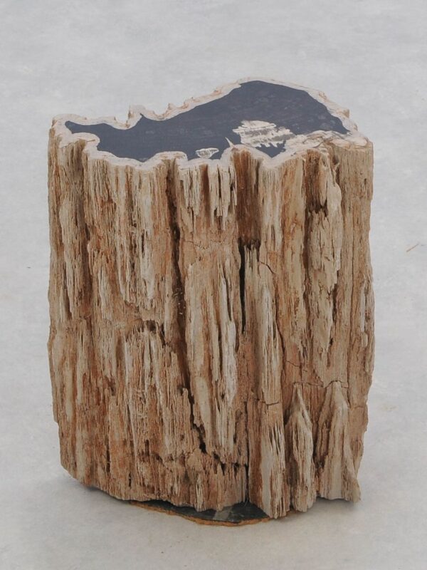 Beistelltisch versteinertes Holz 46030