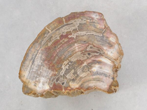 Beistelltisch versteinertes Holz 46034