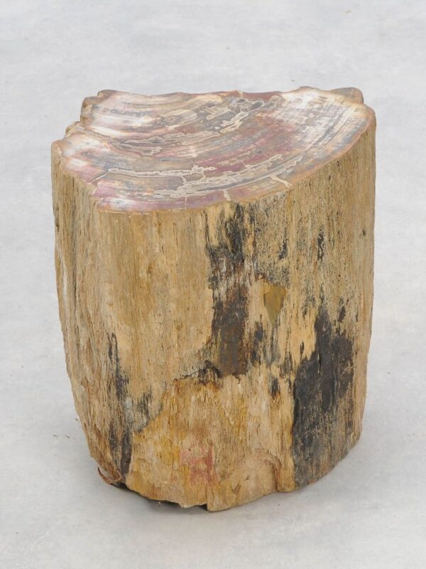Beistelltisch versteinertes Holz 46034