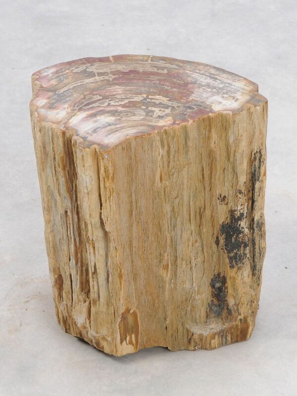 Beistelltisch versteinertes Holz 46035