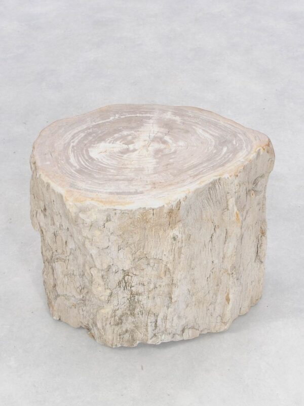 Beistelltisch versteinertes Holz 46169