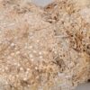 Beistelltisch versteinertes Holz 46201