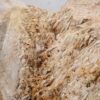 Beistelltisch versteinertes Holz 46201