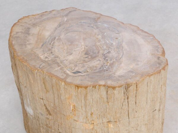 Beistelltisch versteinertes Holz 47000