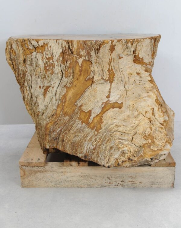 Beistelltisch versteinertes Holz 47002