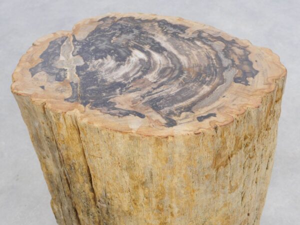 Beistelltisch versteinertes Holz 47003