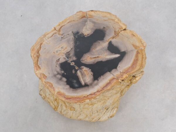 Beistelltisch versteinertes Holz 47008