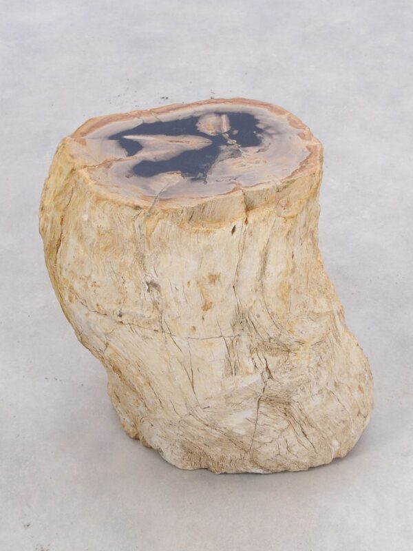 Beistelltisch versteinertes Holz 47008