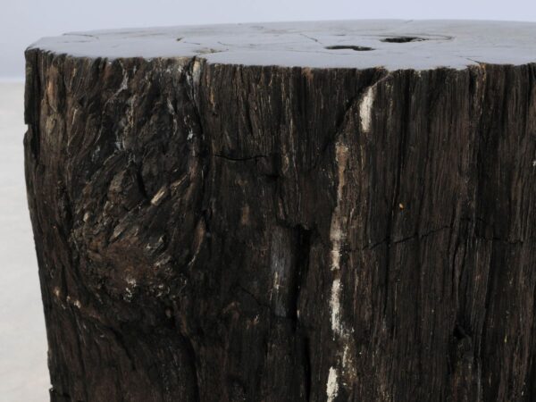 Beistelltisch versteinertes Holz 47013