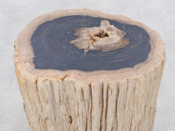 Beistelltisch versteinertes Holz 47018