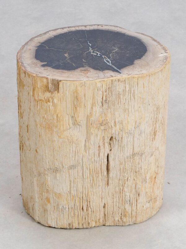 Beistelltisch versteinertes Holz 47020