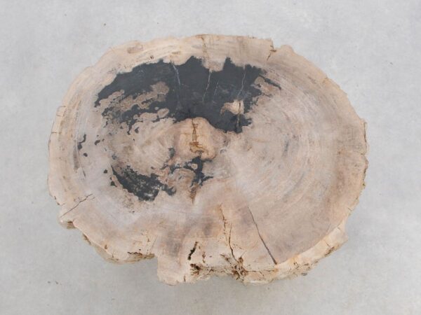 Beistelltisch versteinertes Holz 47021