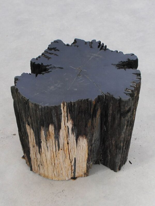 Beistelltisch versteinertes Holz 47028