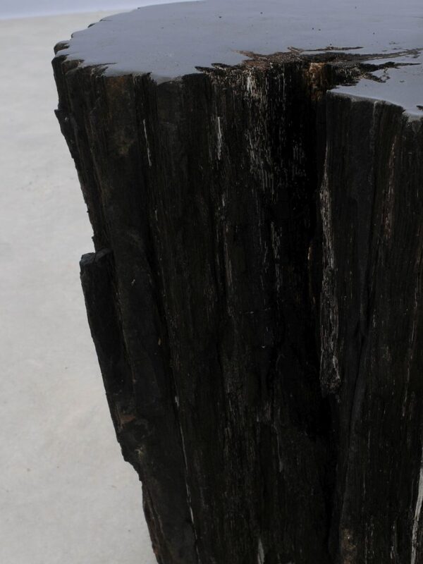 Beistelltisch versteinertes Holz 47030