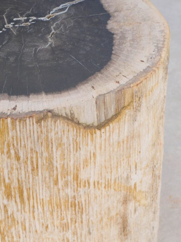 Beistelltisch versteinertes Holz 47032