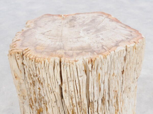 Beistelltisch versteinertes Holz 47034