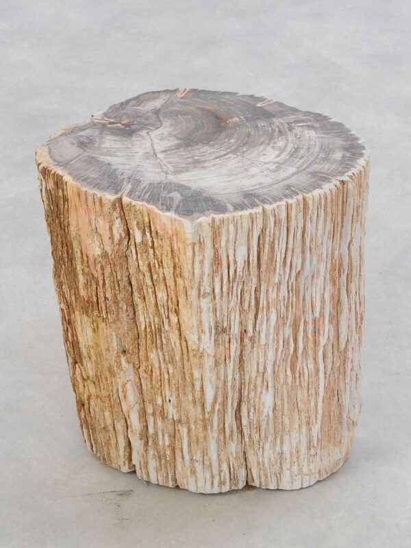 Beistelltisch versteinertes Holz 47035