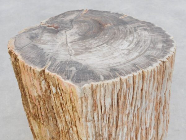Beistelltisch versteinertes Holz 47035