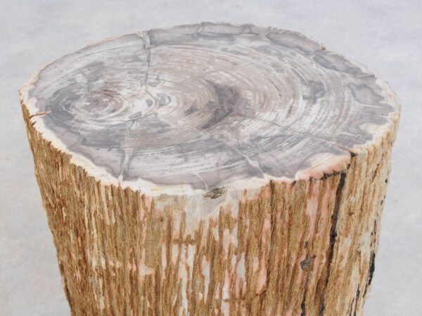 Beistelltisch versteinertes Holz 47037