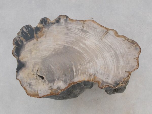 Beistelltisch versteinertes Holz 47040