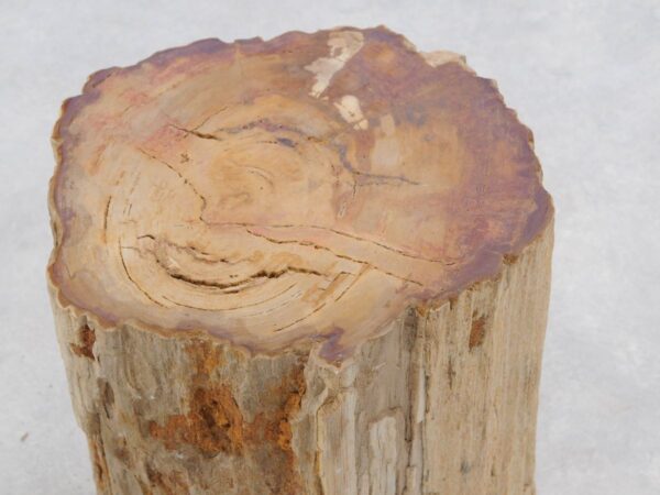 Beistelltisch versteinertes Holz 47042
