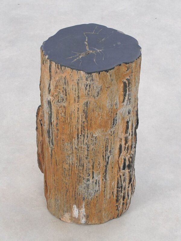 Beistelltisch versteinertes Holz 47043