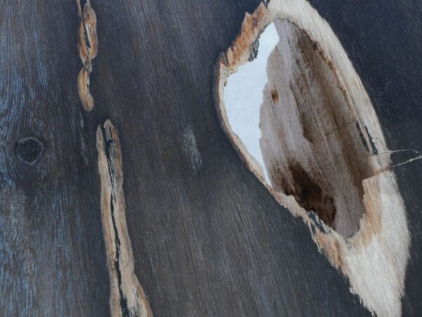 Bijzettafel versteend hout 45020
