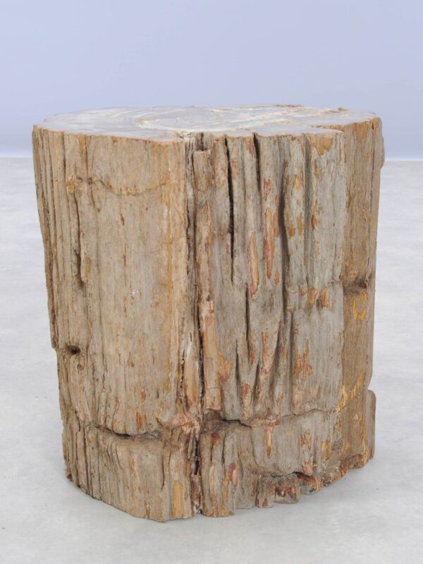Bijzettafel versteend hout 46025