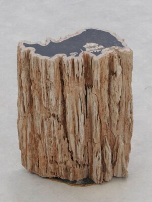 Bijzettafel versteend hout 46030