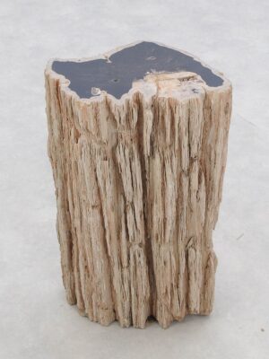 Bijzettafel versteend hout 46033