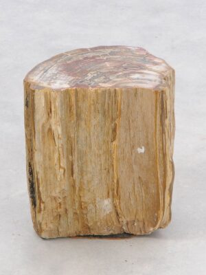 Bijzettafel versteend hout 46034