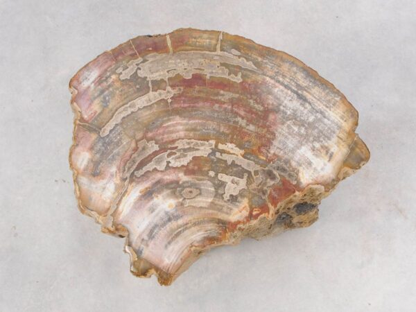 Bijzettafel versteend hout 46035