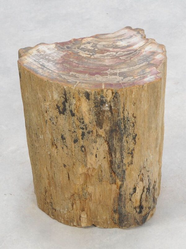 Bijzettafel versteend hout 46035