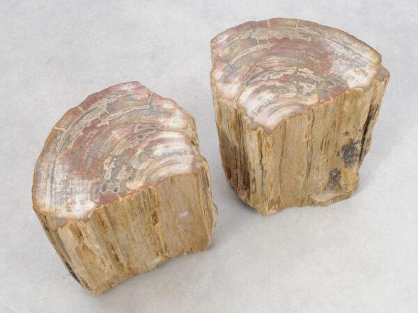 Bijzettafel versteend hout 46035
