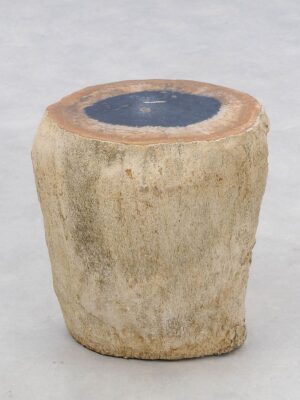 Bijzettafel versteend hout 46038