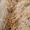 Bijzettafel versteend hout 46201