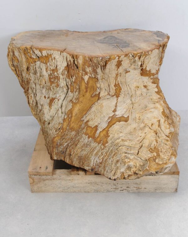 Bijzettafel versteend hout 47002