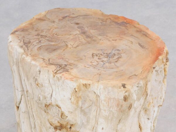 Bijzettafel versteend hout 47005