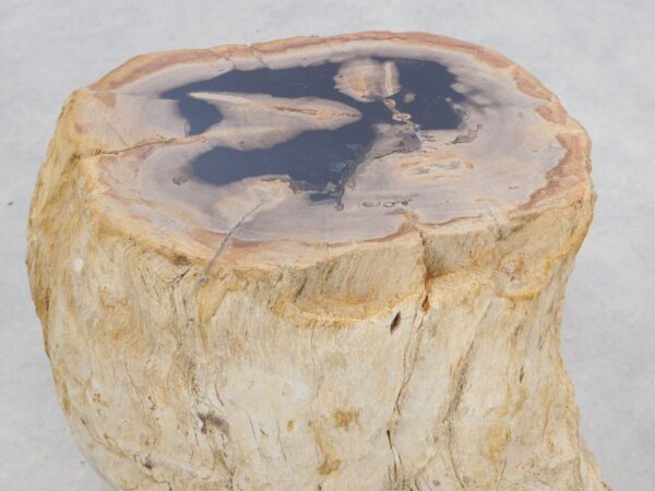 Bijzettafel versteend hout 47008