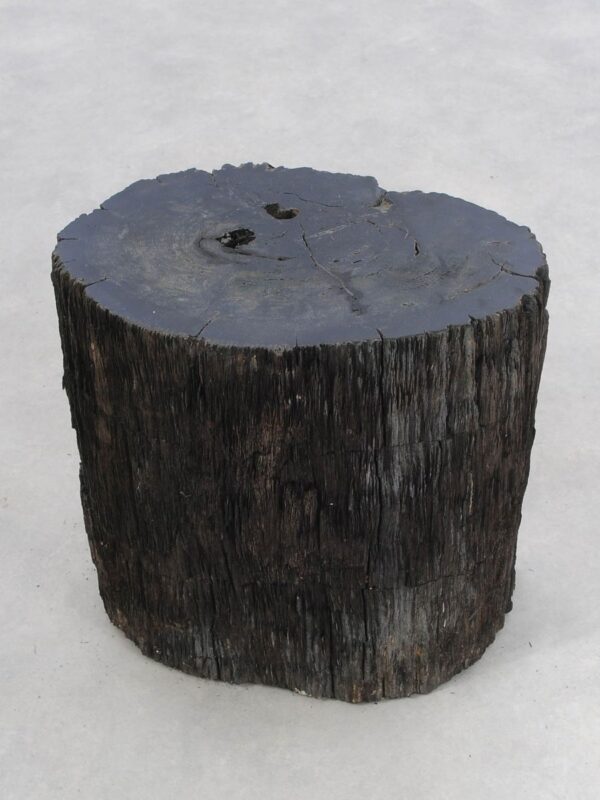 Bijzettafel versteend hout 47013