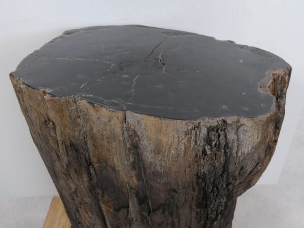 Bijzettafel versteend hout 47029