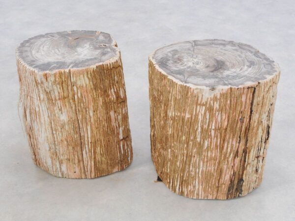 Bijzettafel versteend hout 47033