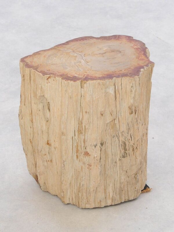 Bijzettafel versteend hout 47041