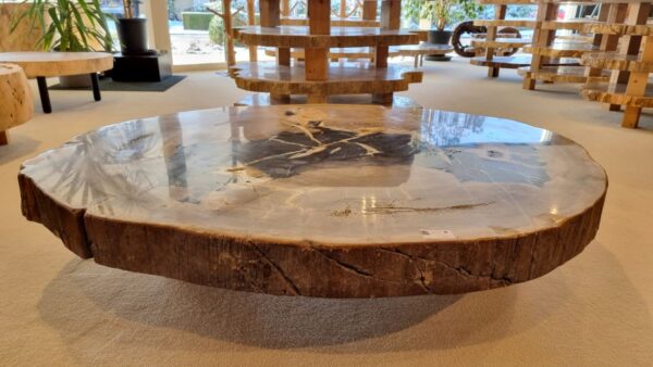 Coffee table petrified wood 32177