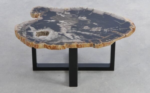 Coffee table petrified wood 41205h