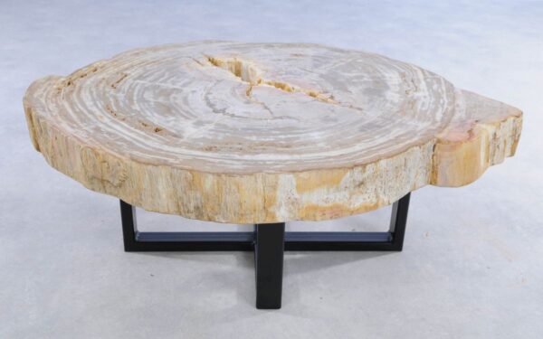 Coffee table petrified wood 44115