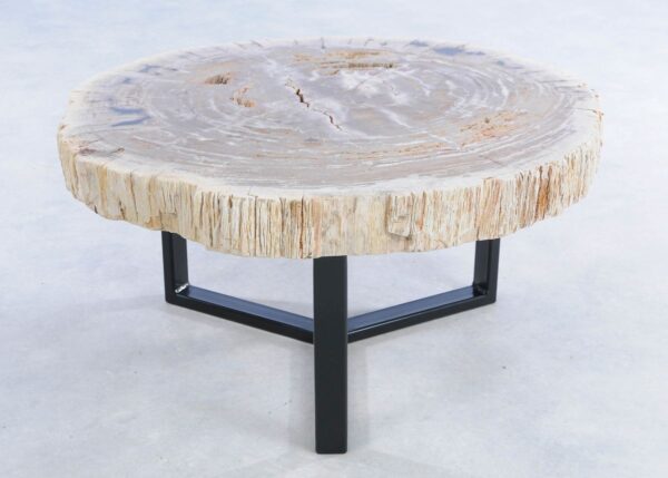 Coffee table petrified wood 44211